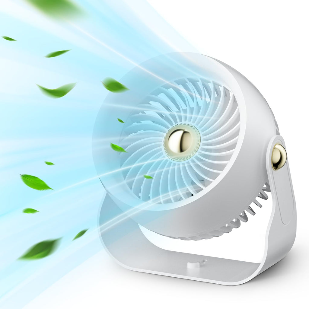 Portable Rechargeable 8 Inch Desk Fan A9284