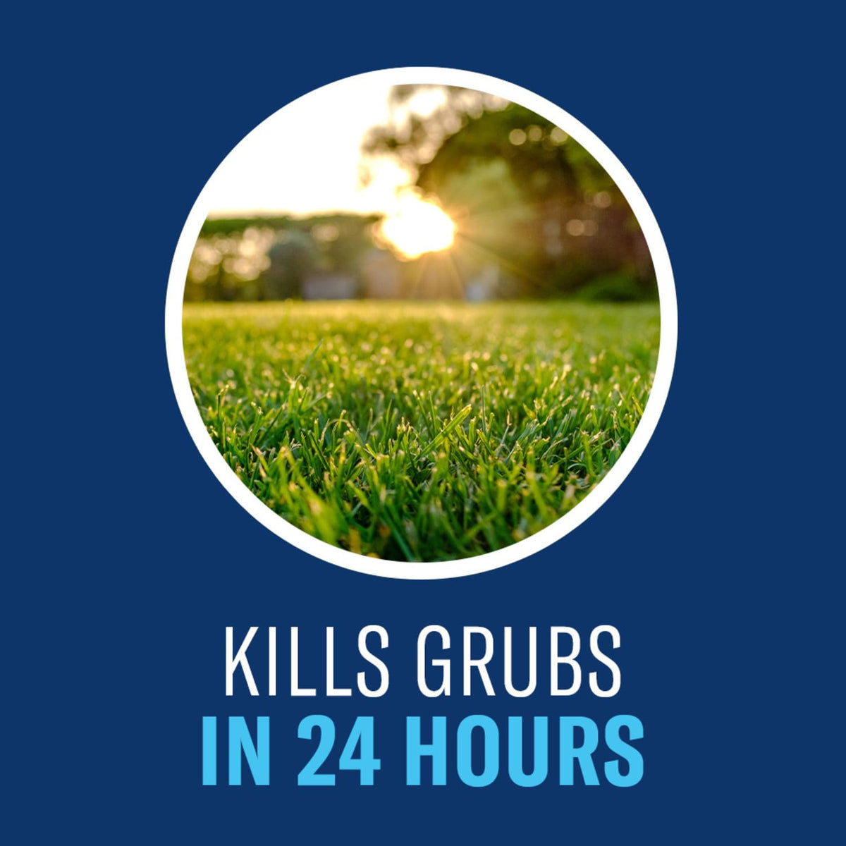 24-Hour Insect Killer Outdoor Granules P6596