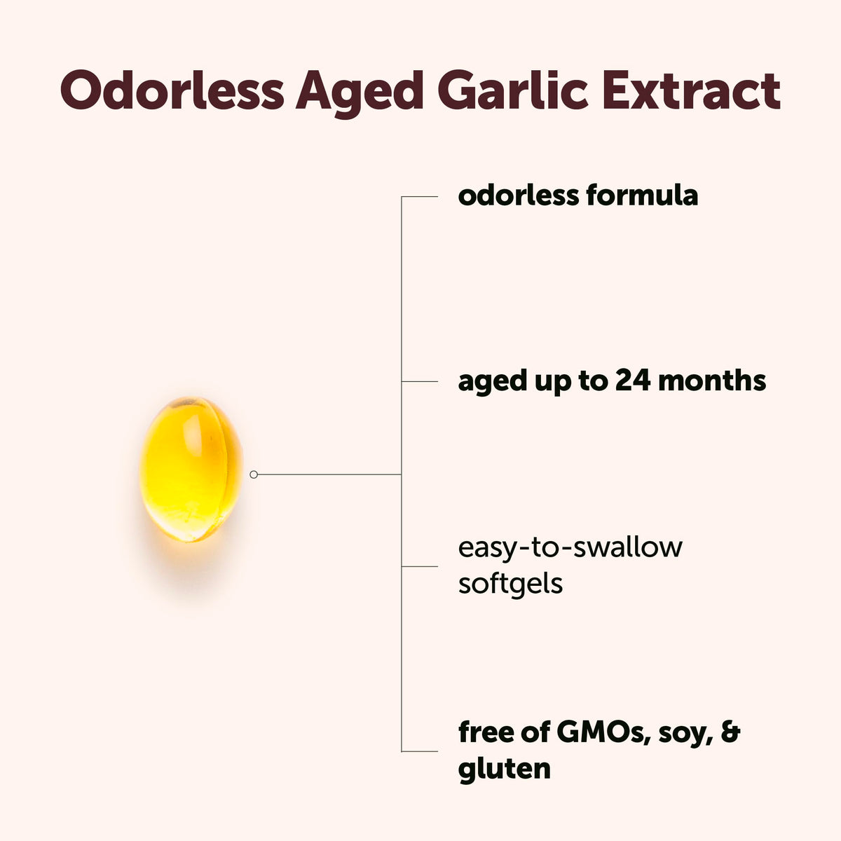 Aged Odorless Garlic 300 Softgels I314