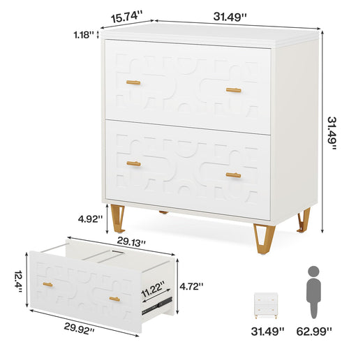 2-Drawer Lateral File Cabinet P66669