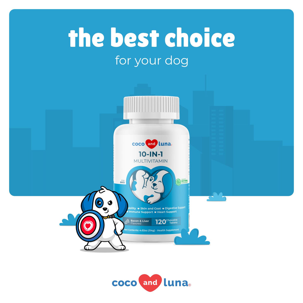 10 in 1 Multivitamin for Dogs N278646