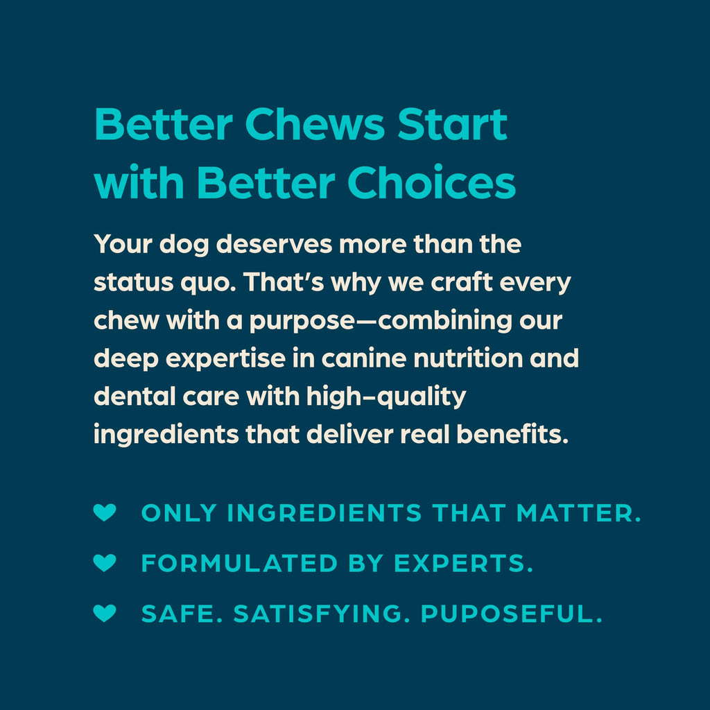 Fresh Mint Flavor Dental Chews, 13 Count K488