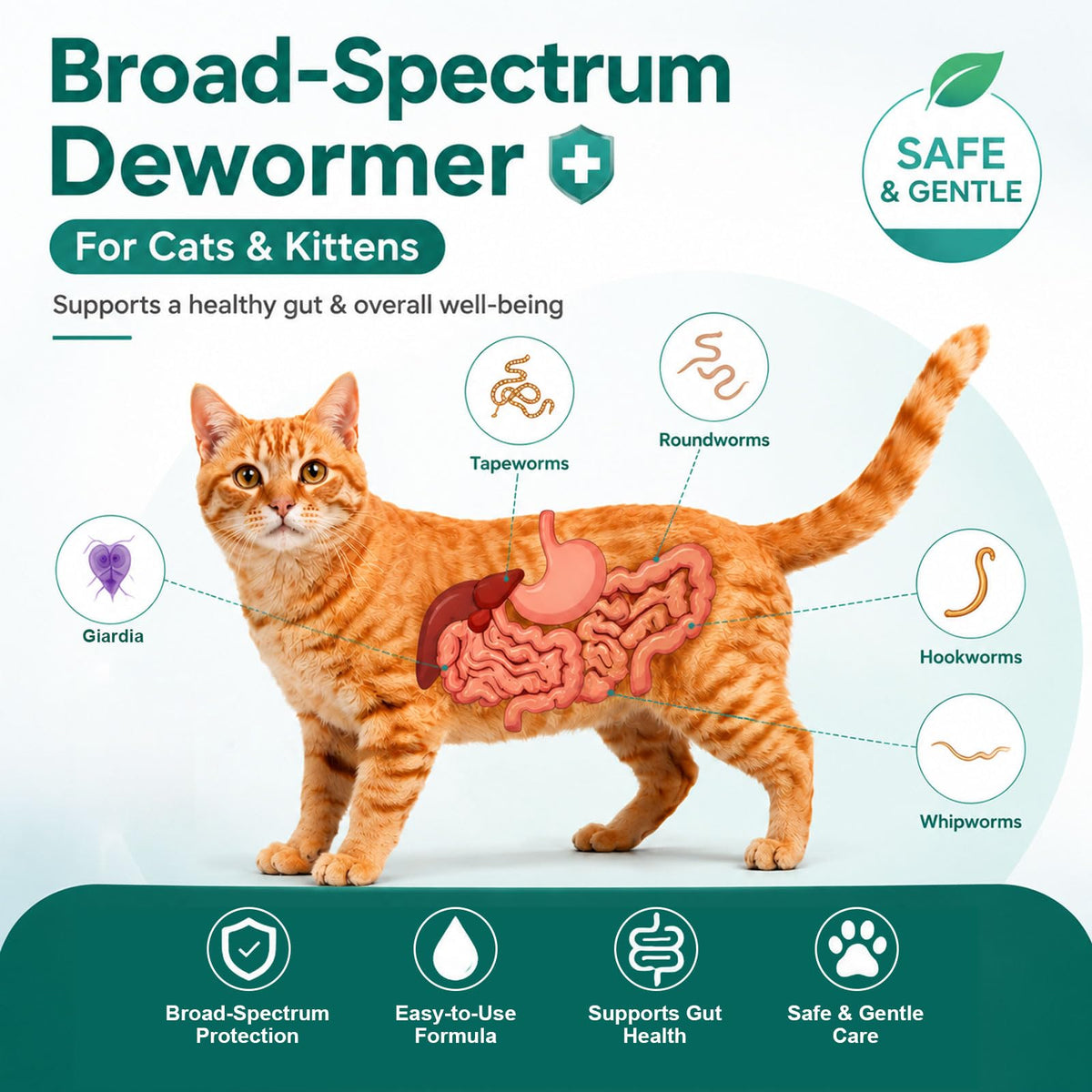 Liquid Dewormer for Tapeworms, Roundworms & Hookworms, 120 mL N133752