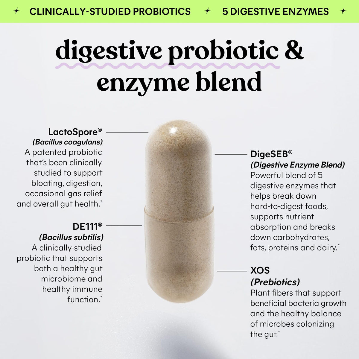 Probiotic Capsules O7363