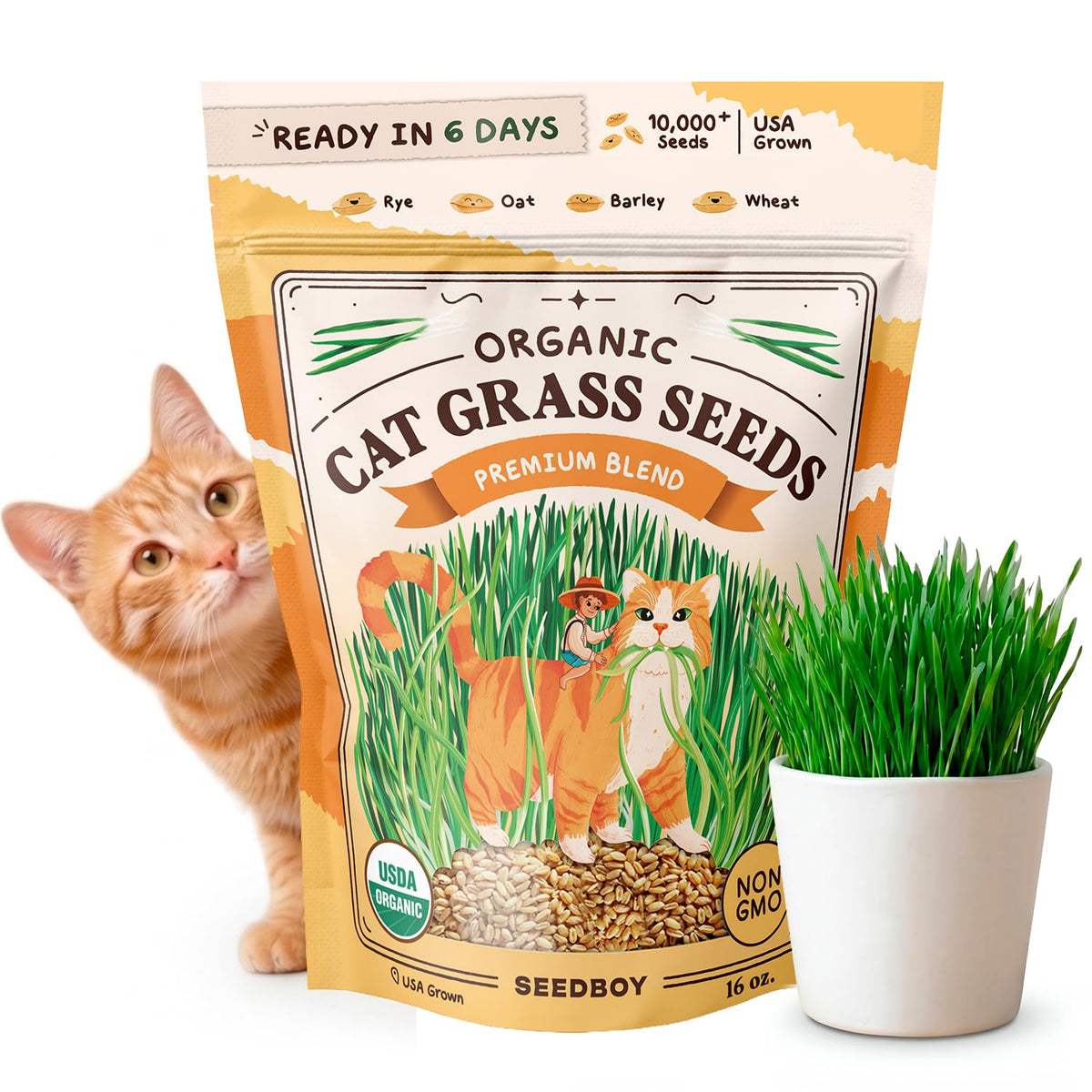 Organic Non-GMO Cat Grass Seeds 16 oz Q551685
