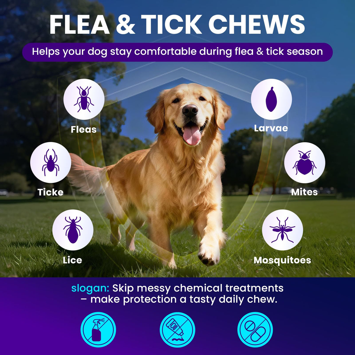 Chicken Flavor Soft Chews for Dogs R1038
