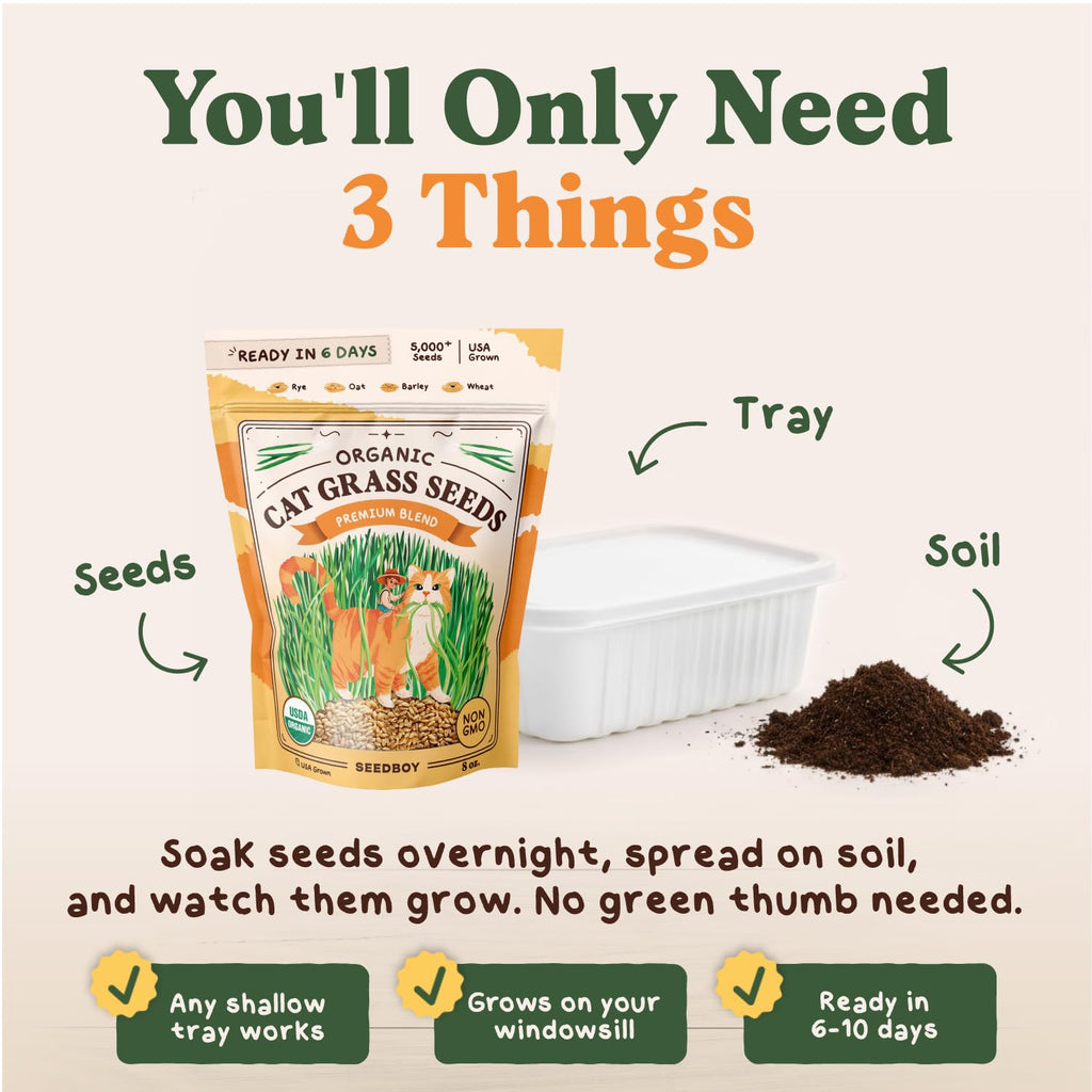 Organic Non-GMO Cat Grass Seeds 16 oz Q551685