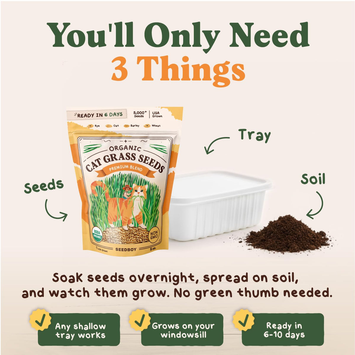 Organic Non-GMO Cat Grass Seeds 16 oz Q551685