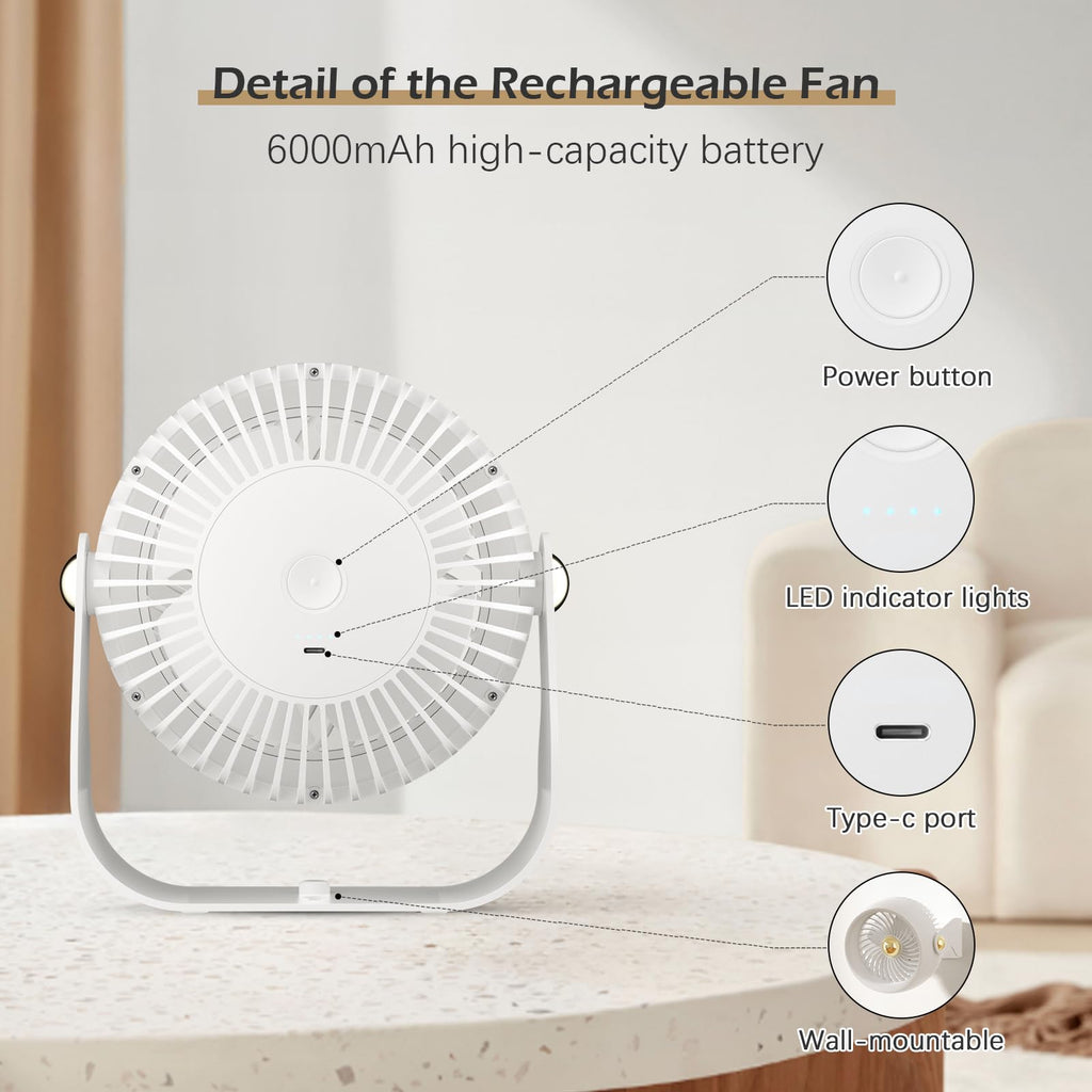 Portable Rechargeable 8 Inch Desk Fan A9284