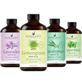Lemongrass Peppermint Eucalyptus Lavender Essential Oil Set 4 Fl. Oz R140