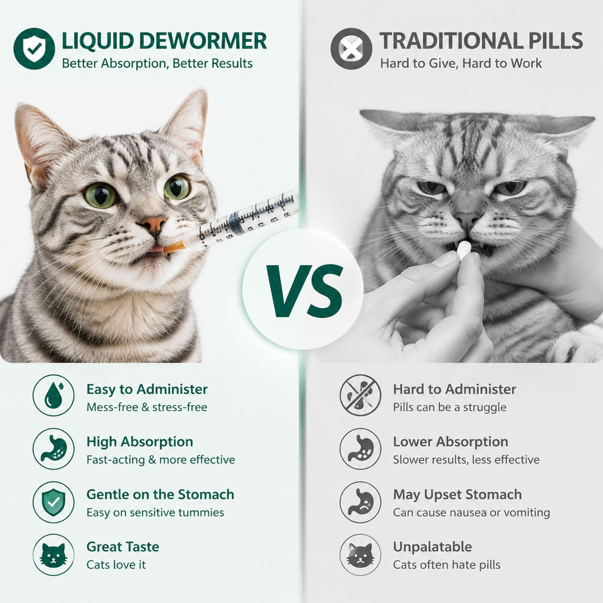 Liquid Dewormer for Tapeworms, Roundworms & Hookworms, 120 mL N133752