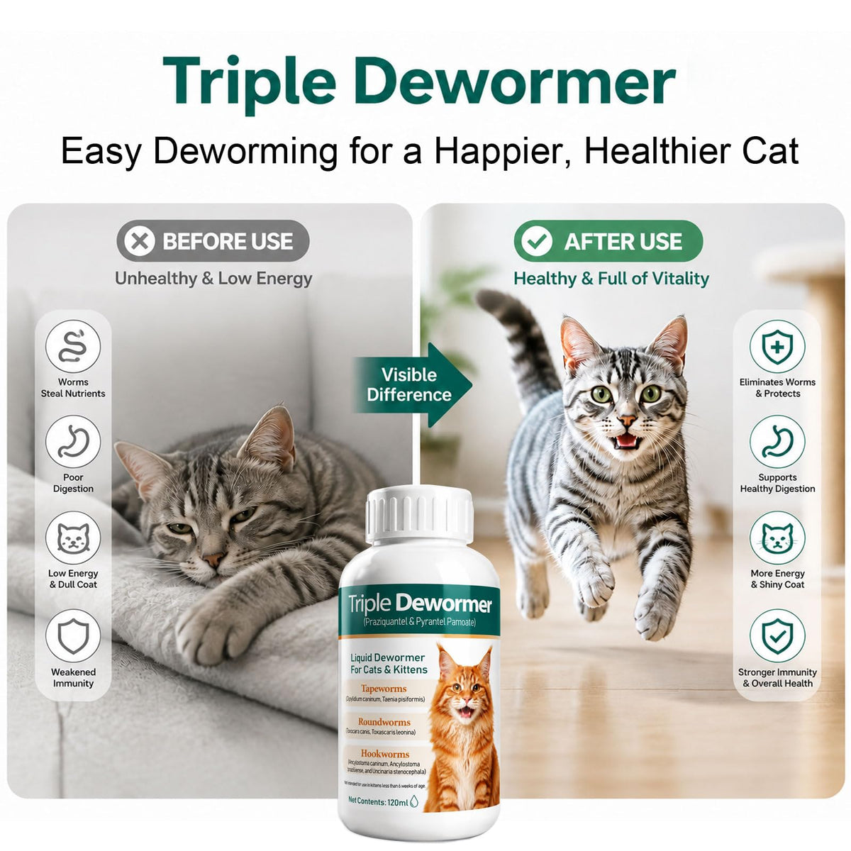 Liquid Dewormer for Tapeworms, Roundworms & Hookworms, 120 mL N133752