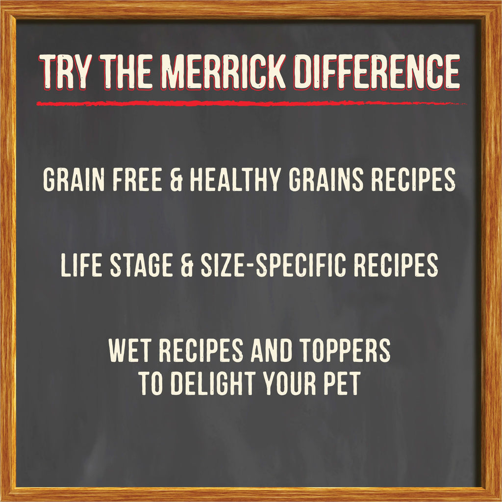 Grain Free Beef Bone Broth Dog and Cat Food Topper 16 oz R135
