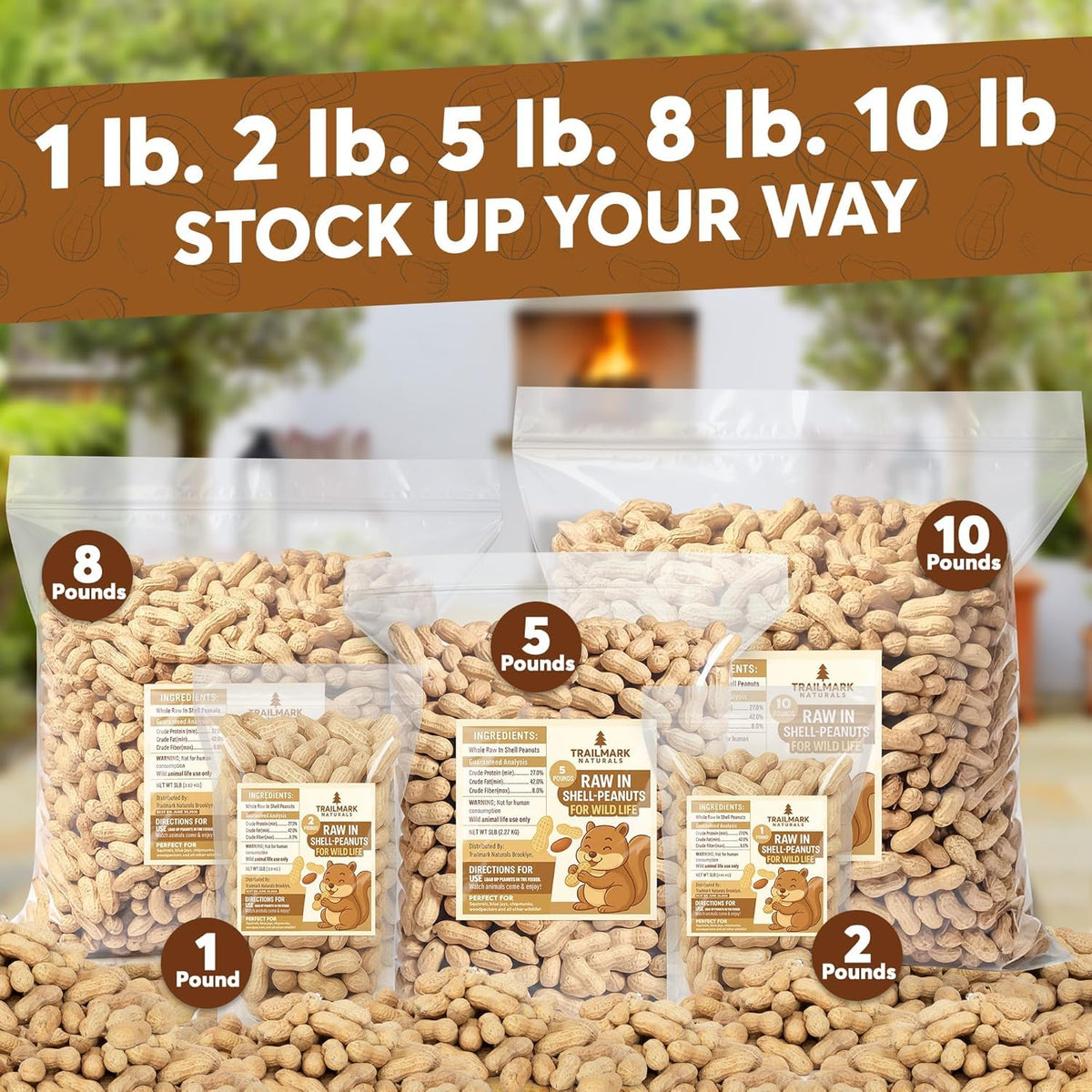 12 LB Raw Peanuts in Shell C920095