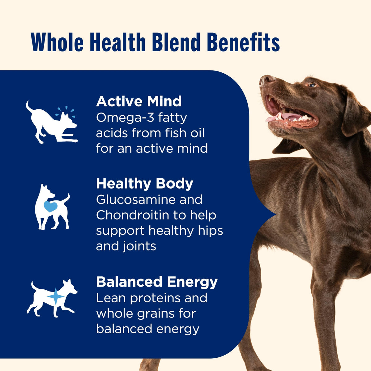 Large Breed Dry Dog Food with Beef 40 lb Bag A354651