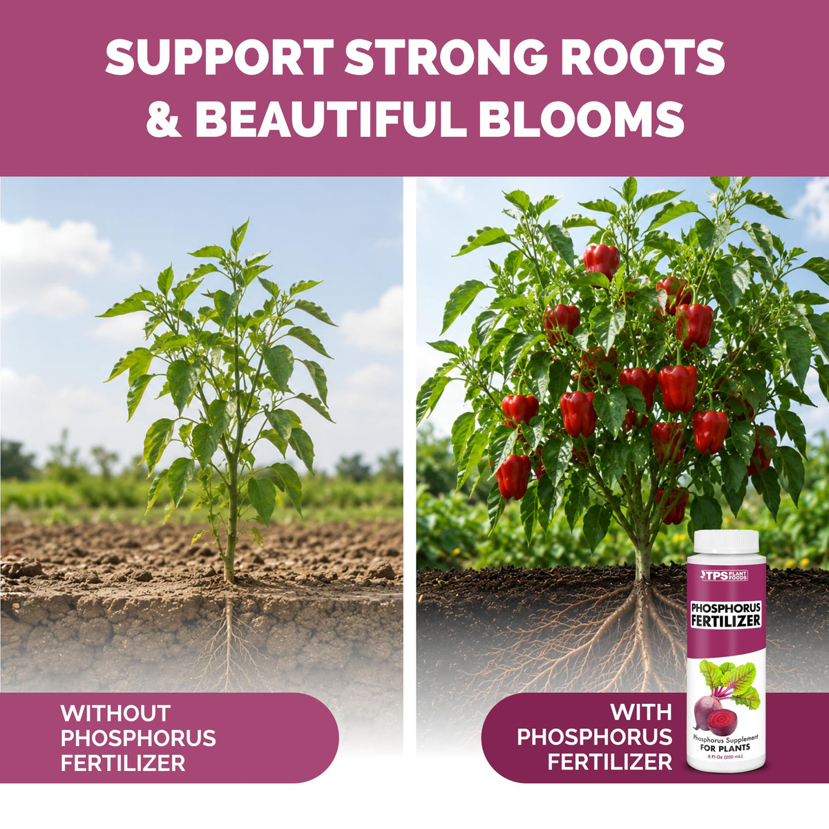 Liquid Phosphorus Fertilizer 32 oz S99742