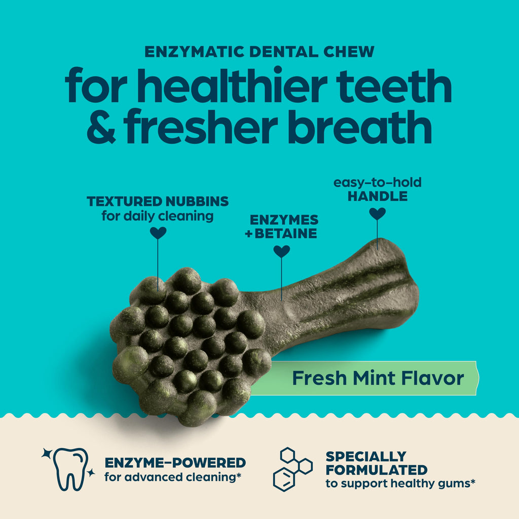 Fresh Mint Flavor Dental Chews, 13 Count K488