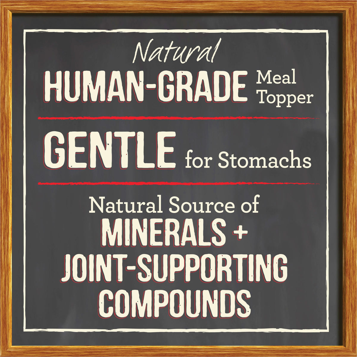 Grain Free Beef Bone Broth Dog and Cat Food Topper 16 oz R135