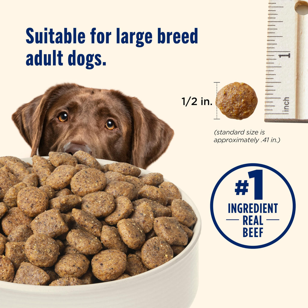 Large Breed Dry Dog Food with Beef 40 lb Bag A354651