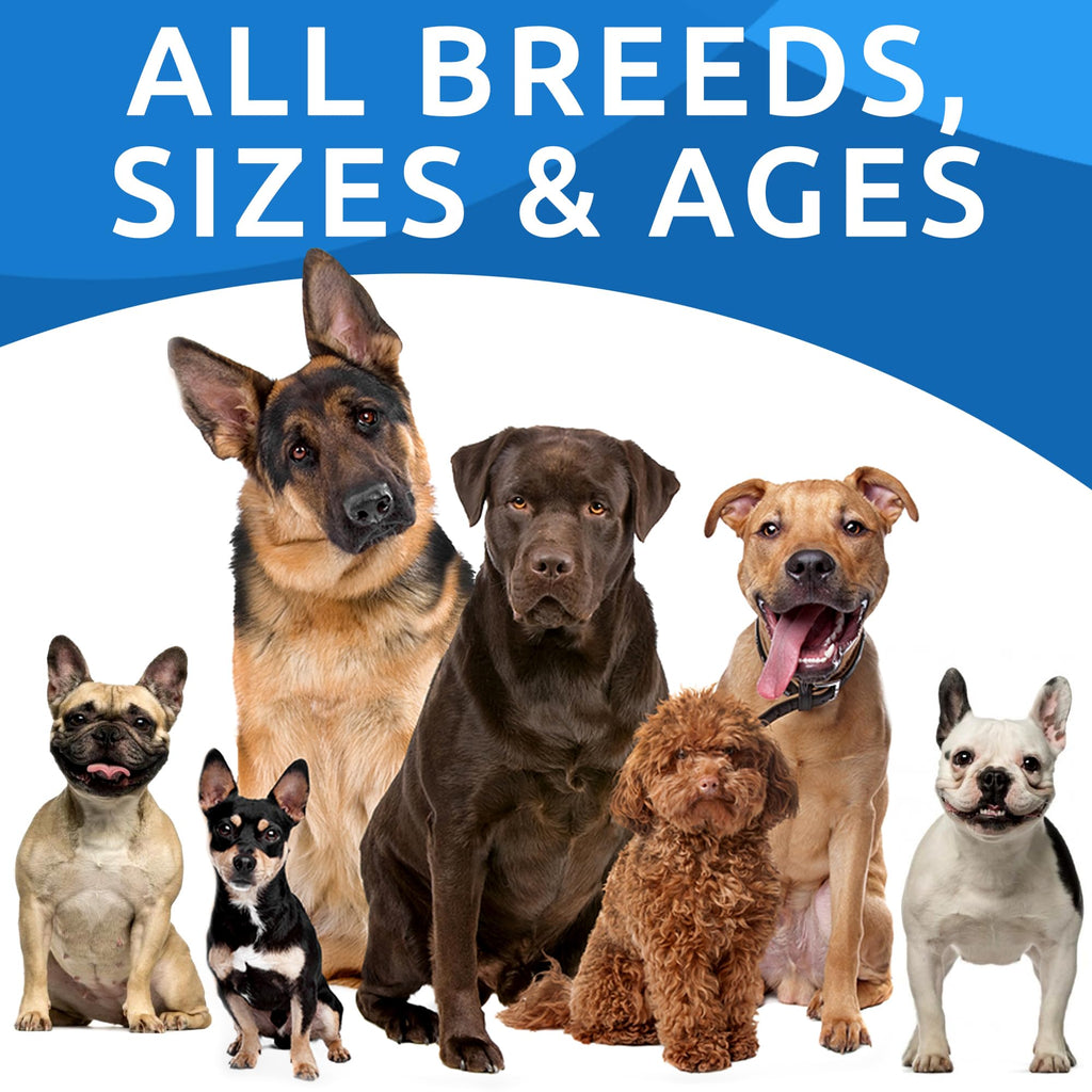 Hemp Chews for Dogs H413579