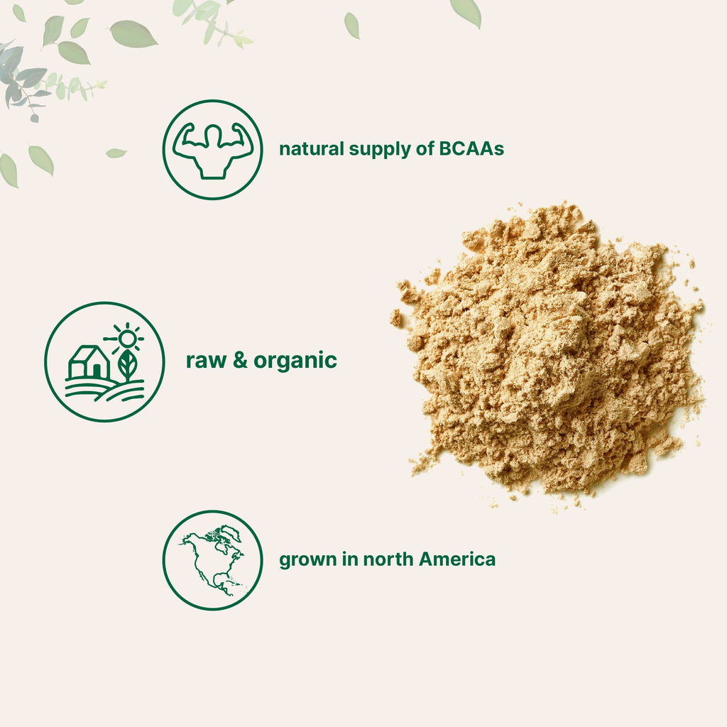 Organic Pea Protein Powder, 1KG (2.2 Pounds), Plant-Based Vegan C107688