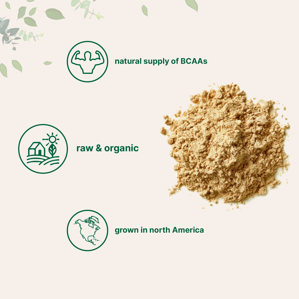 Organic Pea Protein Powder, 1KG (2.2 Pounds), Plant-Based Vegan C107688