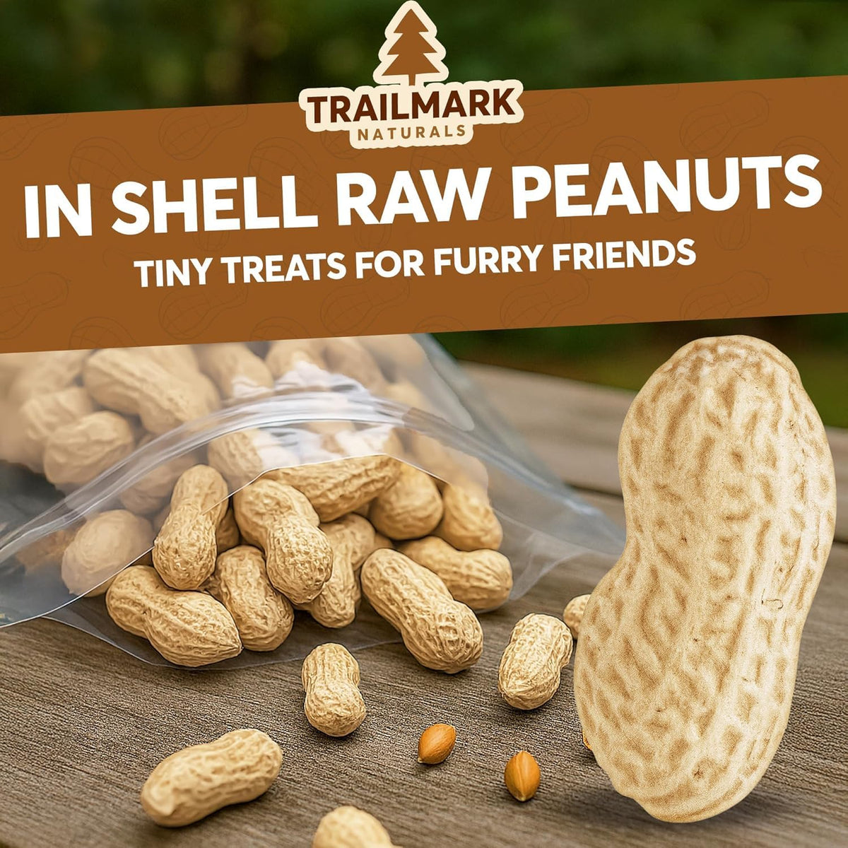 12 LB Raw Peanuts in Shell C920095