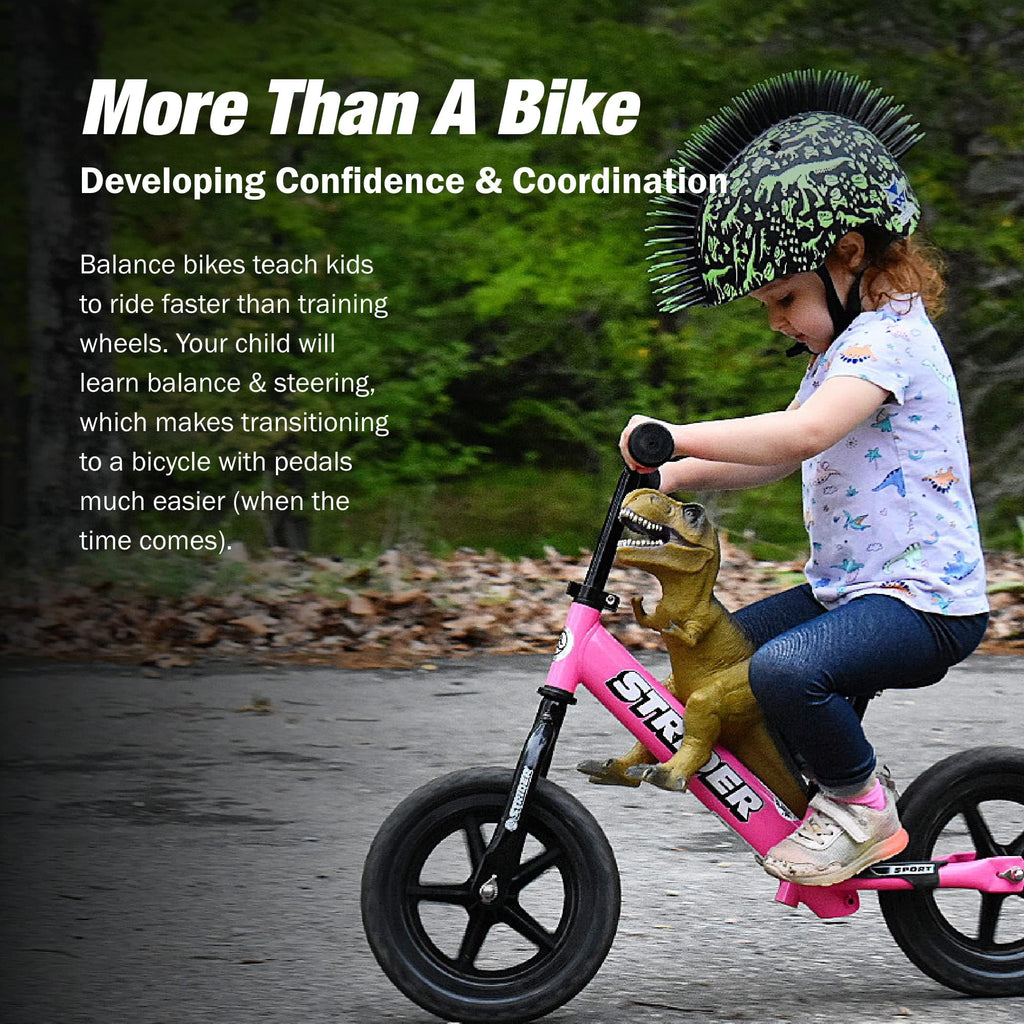 No Pedal Balance Bike R243